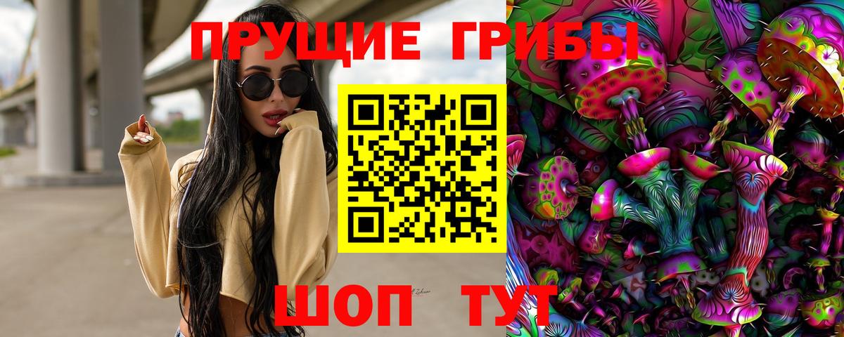 Псилоцибиновые грибы MAGIC MUSHROOMS  Вход с VPN  Кропоткин 