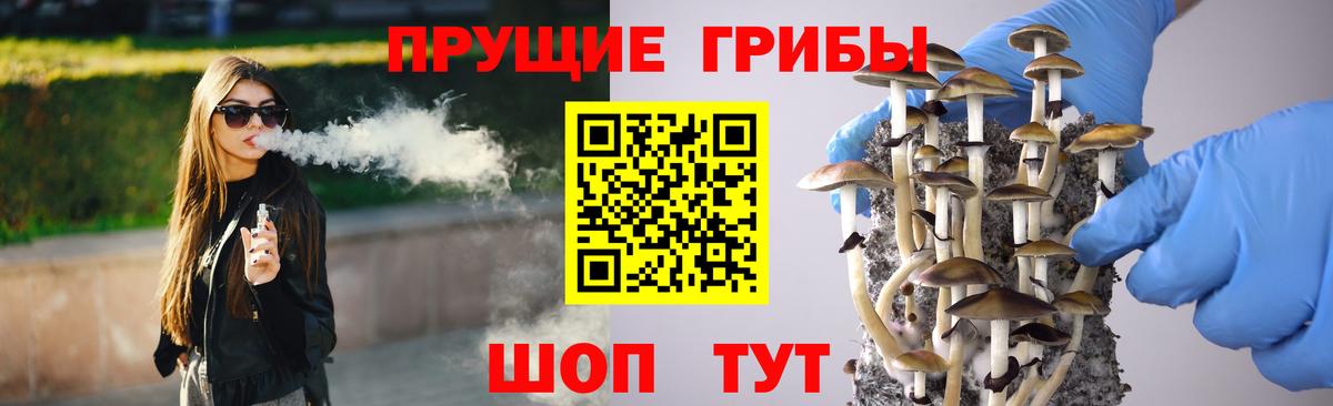 Галлюциногенные грибы прущие грибы Кропоткин